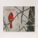 Search for cardinal puzzles Virginia