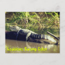 Search for swamp postcards Marsh