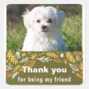 Search for friendships stickers For kids