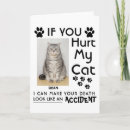 Search for maine coon cards Pet