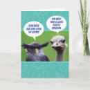 Search for funny bird birthday cards Ostrich