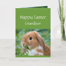 Search for for grandson easter cards Rabbit