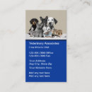 Search for vet tech business cards Veterinary