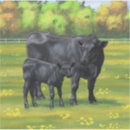 Search for beef cattle stickers Livestock