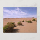 Search for goby postcards Gobi