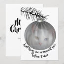 Search for funny christmas baubles Kitten