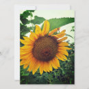 Search for blank sunflower cards Yellow