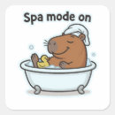 Search for capybara stickers Meme