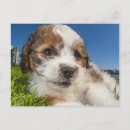 Search for lys postcards Canada