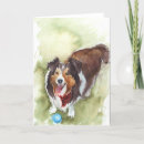 Search for shelties cards Pets