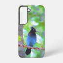 Search for blue jays electronics Steller's jay