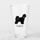 Search for tibetan terrier gifts Dog