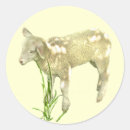 Search for lambs stickers Animals