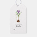 Search for crocus flower Watercolor