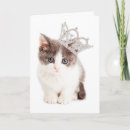 Search for crown birthday cards Kitten