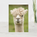 Search for alpaca birthday cards Funny