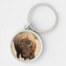 Search for selection key rings Vertical