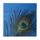 Search for plumage tiles Animal