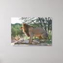 Search for panthera canvas prints Outdoors