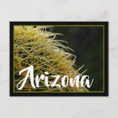 Search for spike postcards Cactus