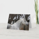 Search for dapple grey cards Andalucian