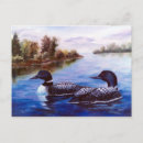 Search for loons postcards Wildlife