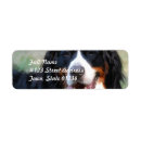 Search for pictures return address labels Dogs