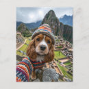Search for breed vertical postcards Background
