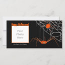 Search for spider halloween cards Kids