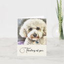Search for dog note cards Pets