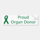 Search for ribbons bumper stickers Green
