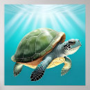 Search for turtle posters Nature