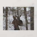 Search for baxter horizontal postcards Autumn