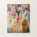 Search for funny puzzles Cats