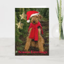 Search for airedale terrier lover cards Terriers
