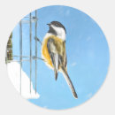 Search for feeder stickers Bird