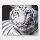 Search for bengal standard mouse mats Wild animal