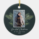 Search for branch christmas tree decorations Pine branches