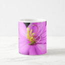 Search for hawaiian plumeria mugs Maui