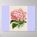 Search for vintage valentine posters Nature