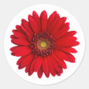 Search for red daisy flower stickers Floral
