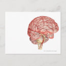 Search for rendering postcards Body