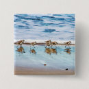 Search for animal beach badges Nautical