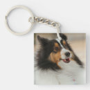 Search for sheltie key rings Shelty