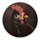 Search for chicken knobs and pulls Hen