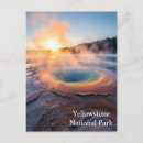 Search for home decor postcards Nature photography