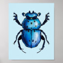 Search for blue beetle posters Entomology