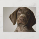 Search for pointer photography Small business