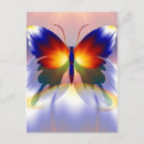 Search for butterfly dreams postcards Insect