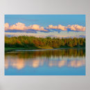 Search for new forest posters Lake